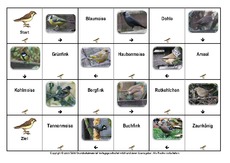 Domino-Vögel-1.pdf